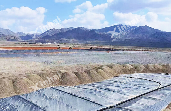 gold heap leaching plant in Mongolia.jpg